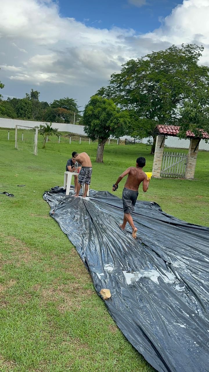 Instituto Mosaico Recife — Programas e Projetos