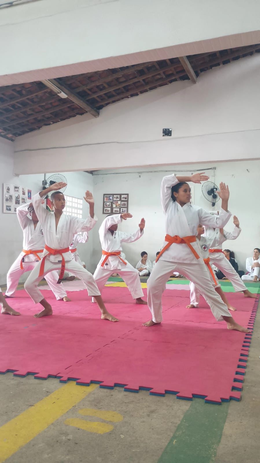 Instituto Mosaico Recife — Eventos e Conquistas